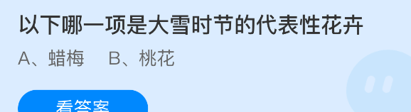 以下哪一项是大雪时节的代表性花卉