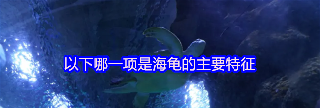 以下哪一项是海龟的主要特征
