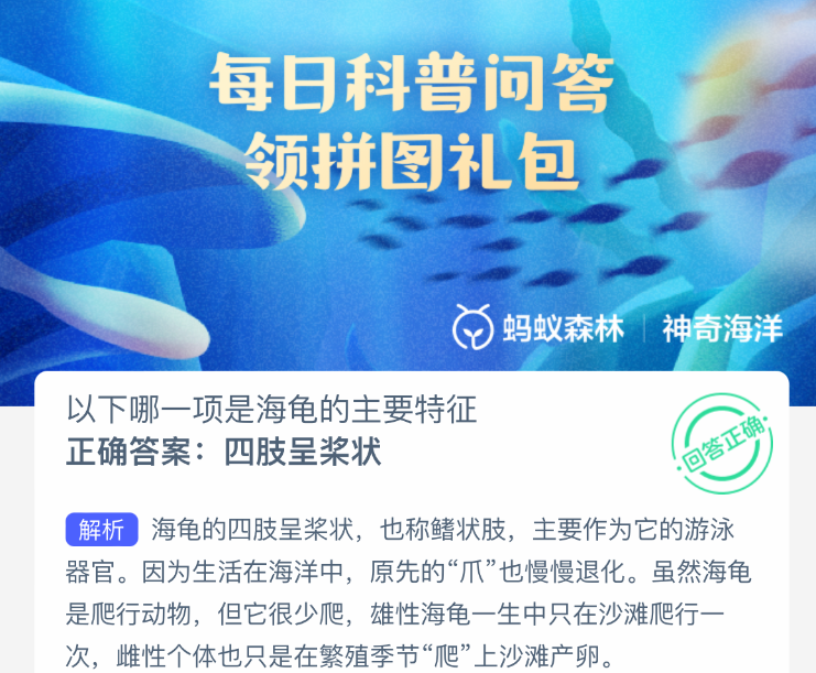 以下哪一项是海龟的主要特征