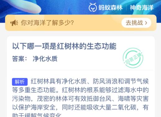 以下哪一项是红树林的生态功能