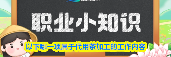 以下哪一项属于代用茶加工的工作内容