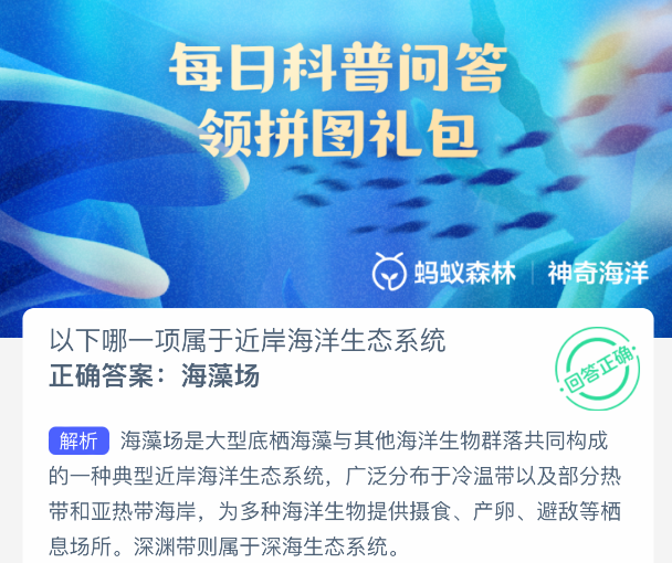 以下哪一项属于近岸海洋生态系统