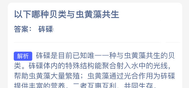 以下哪种贝类与虫黄藻共生