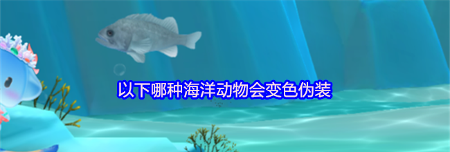 以下哪种海洋动物会变色伪装