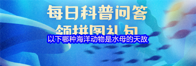 以下哪种海洋动物是水母的天敌