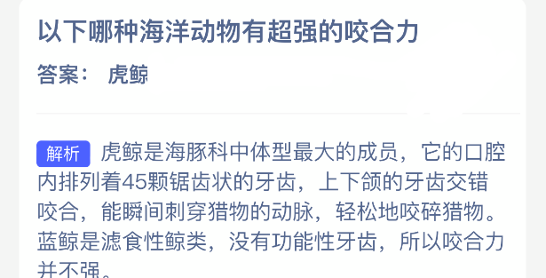 以下哪种海洋动物有超强的咬合力