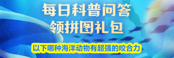 以下哪种海洋动物有超强的咬合力