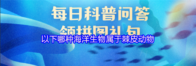 以下哪种海洋生物属于棘皮动物