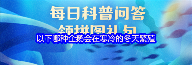 以下哪种企鹅会在寒冷的冬天繁殖