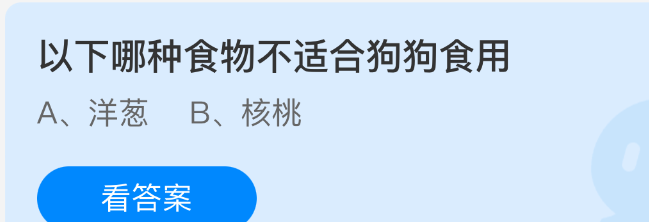 以下哪种食物不适合狗狗食用