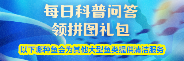 以下哪种鱼会为其他大型鱼类提供清洁服务