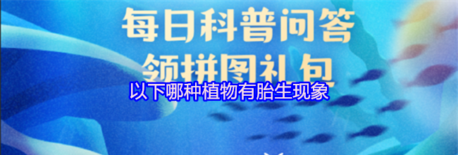 以下哪种植物有胎生现象