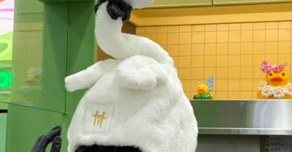 《燕云十六声》林里联名活动介绍