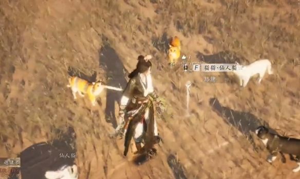 《燕云十六声》猫瘾患者奇遇攻略