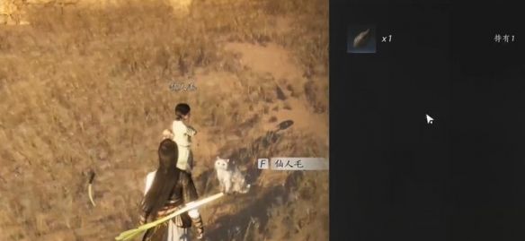 《燕云十六声》猫瘾患者奇遇攻略