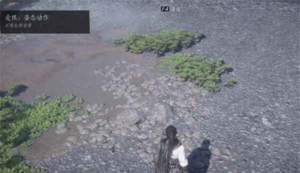 《燕云十六声》柿业有成任务完成方法