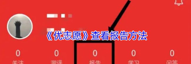 《优志愿》查看报告方法