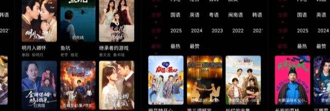 追番达人app投屏方法