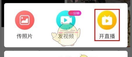 《指乎》开直播方法