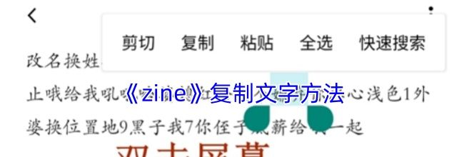 《zine》复制文字方法