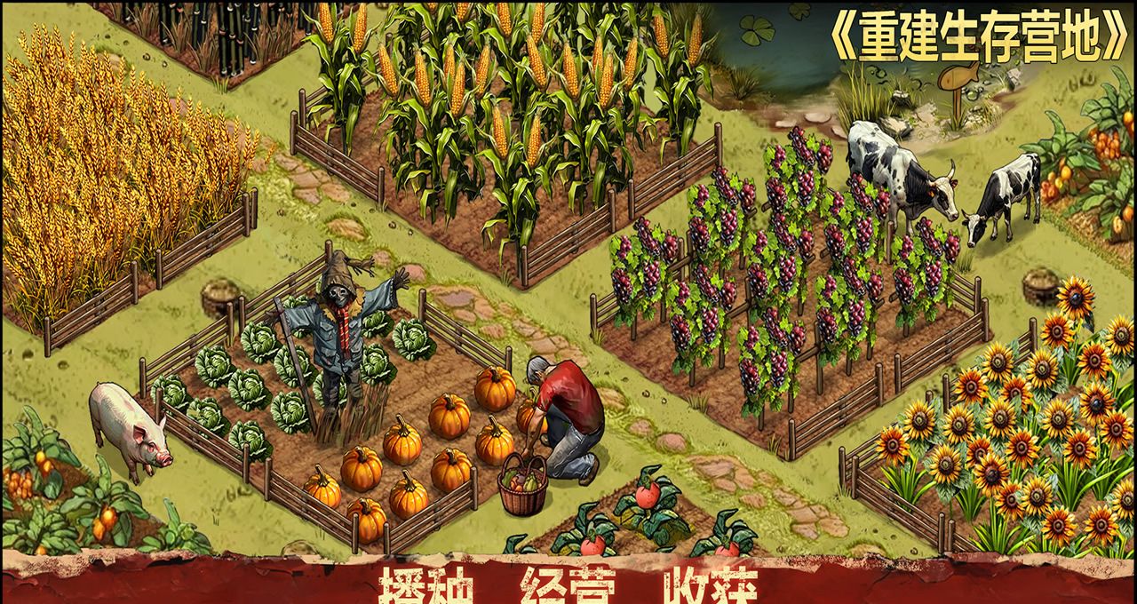 重建生存营地兑换码大全2025