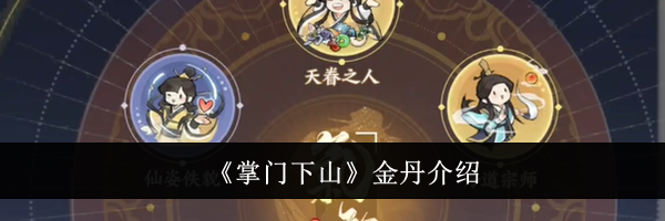 《掌门下山》金丹介绍