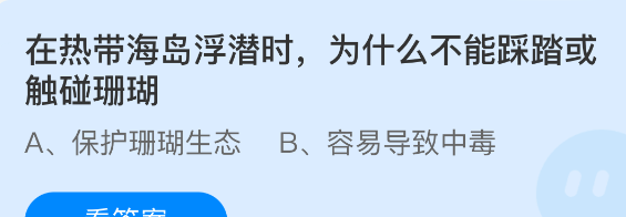 在热带海岛浮潜时,为什么不能踩踏或触碰珊瑚