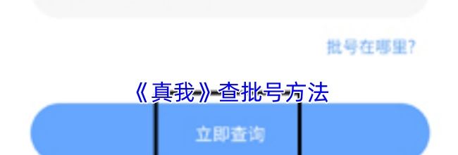 《真我》查批号方法