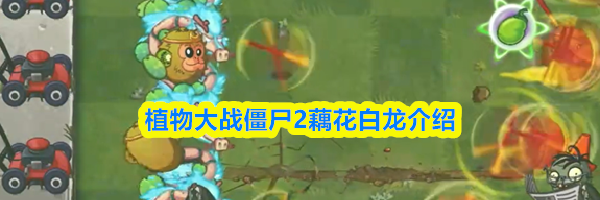 植物大战僵尸2藕花白龙介绍