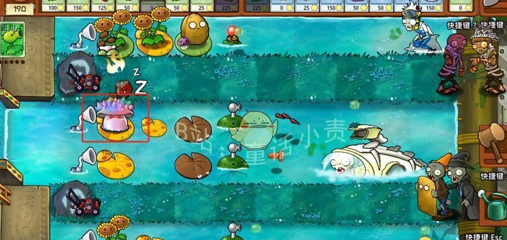 《植物大战僵尸嫁接版》魅惑寒冰菇介绍