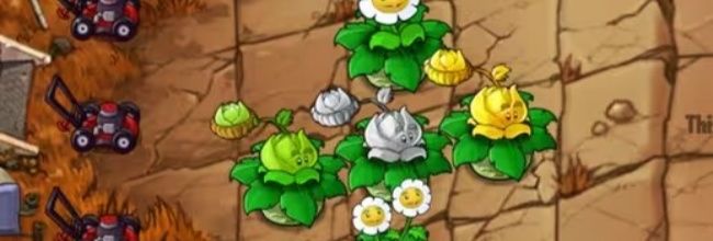 《植物大战僵尸融合版》金银卷心菜攻击方式