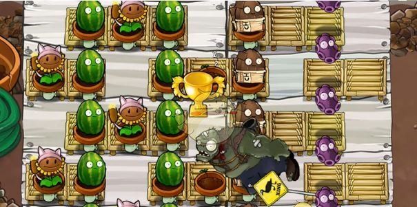 《植物大战僵尸杂交版》商店副本巧克力坚果过关攻略