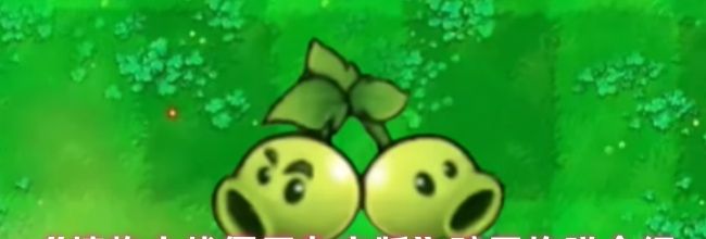 《植物大战僵尸杂交版》豌豆炸弹介绍