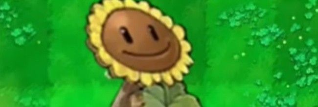 《植物大战僵尸杂交版》伪装的向日葵介绍