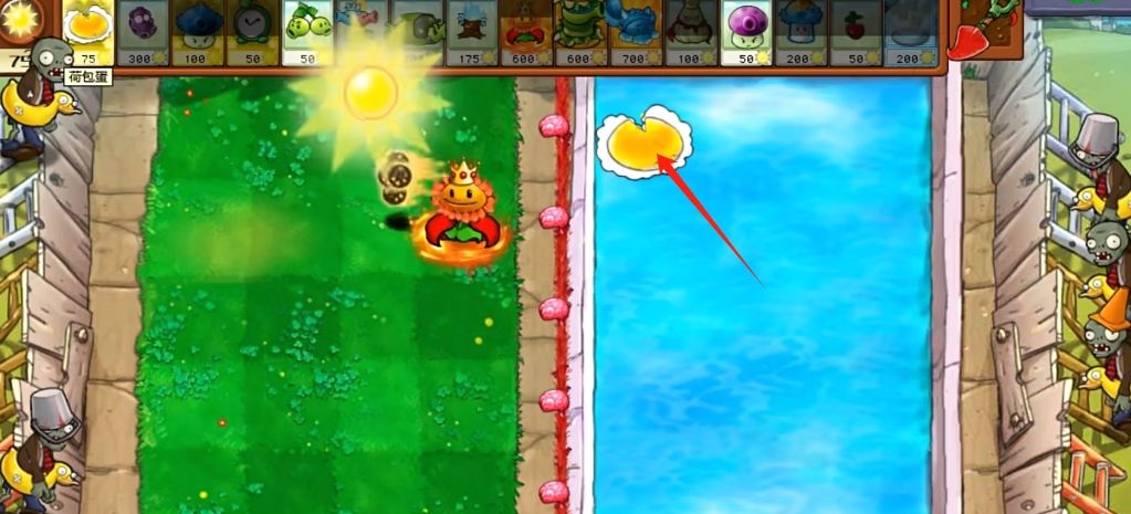 《植物大战僵尸杂交版》星光闪卡荷包蛋属性介绍