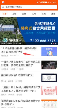 猪易通app今日猪价查看入口