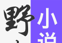 野火小说logo图