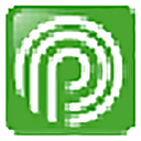 p2p终结者最高权限版  