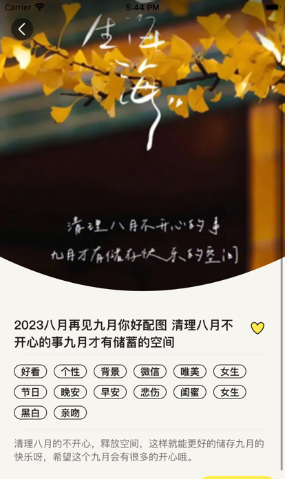 哎呀漫鸭