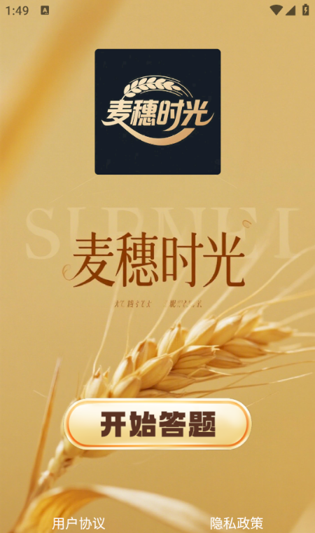 麦穗时光