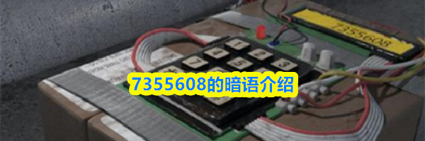 7355608的暗语介绍