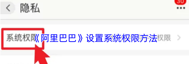 《阿里巴巴》设置系统权限方法