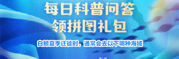 白鲸夏季迁徙时,通常会去以下哪种海域