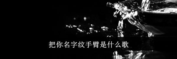 把你名字纹手臂是什么歌