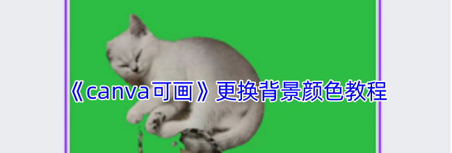《canva可画》更换背景颜色教程