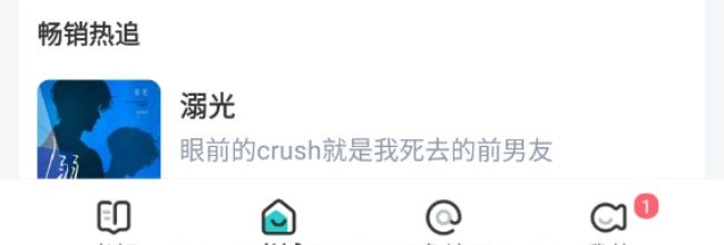 《长佩阅读》翻页设置入口