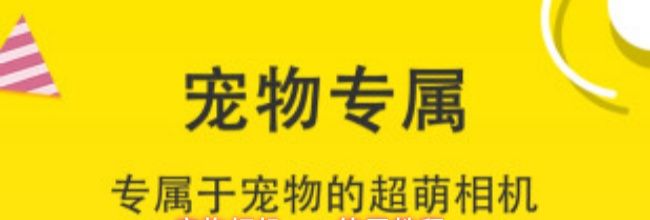 宠物相机app使用教程
