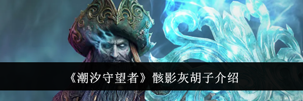 《潮汐守望者》骸影灰胡子介绍