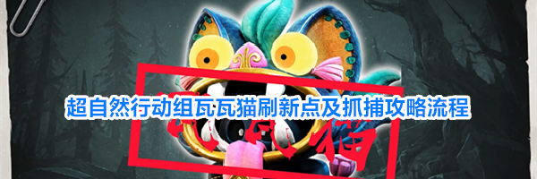 超自然行动组瓦瓦猫刷新点及抓捕攻略流程