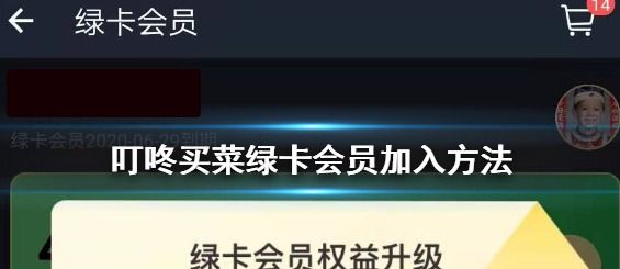 叮咚买菜绿卡会员优势介绍